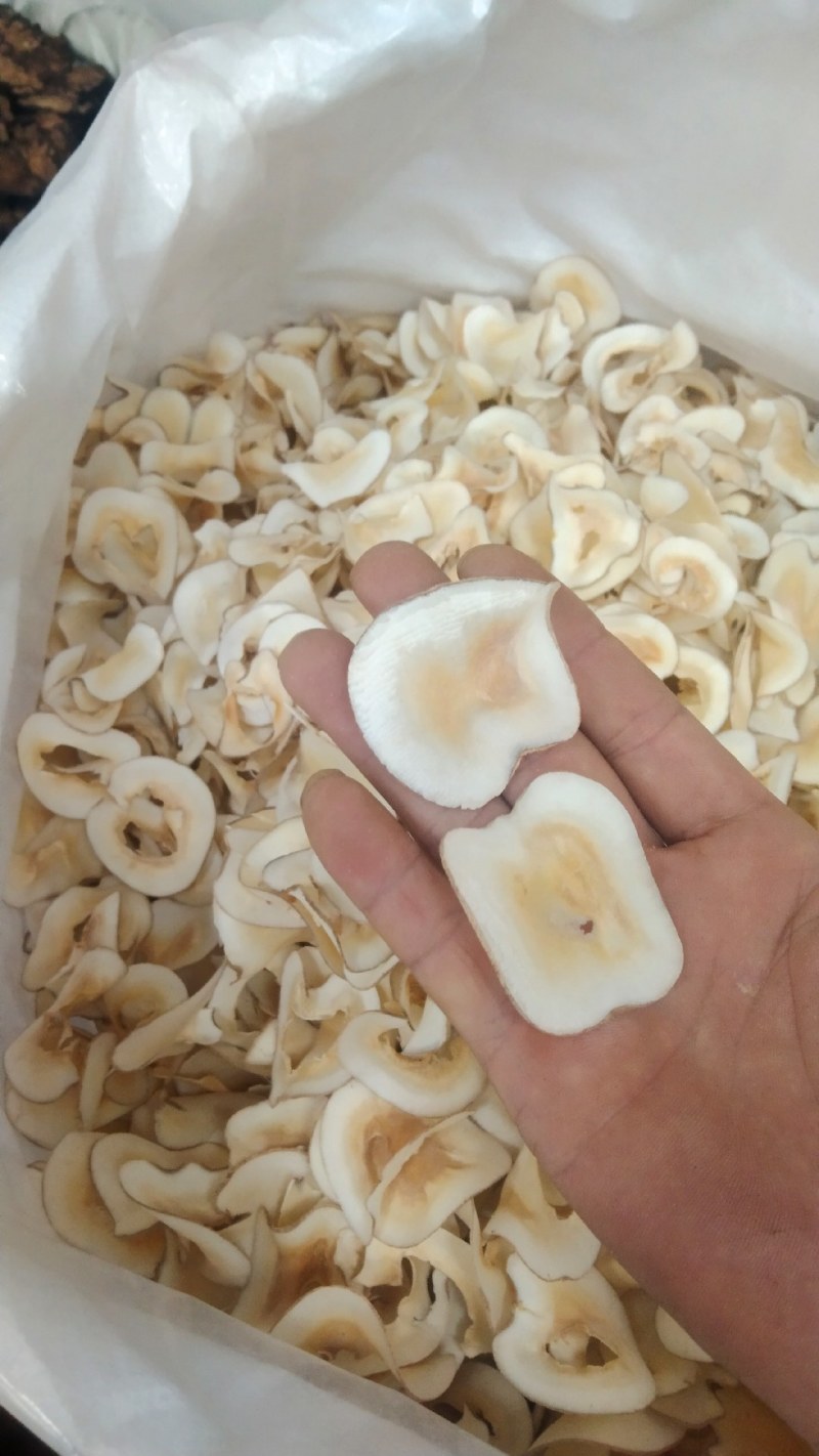 海底椰泰国香椰颜色白无硫***放心食用批零兼营
