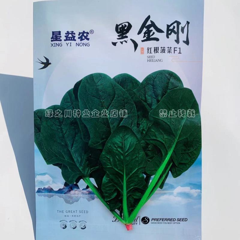 黑金刚优质红根菠菜种子叶片宽大肥厚杂交一代菠菜种籽