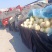 红金蜜，东方蜜，玉菇黄25系列，鲁厚甜，蜜露，库拉香瓜