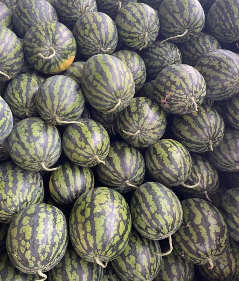 甜王西瓜，支持电商货市广西南宁市西瓜大量上市，货源稳定。