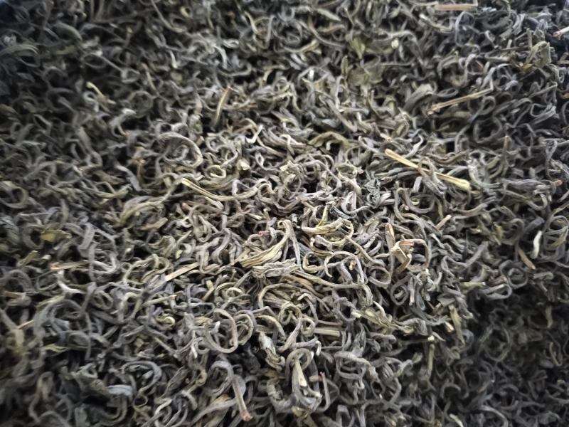 云南精品绿茶斯拉甲茶产地直发品质保证