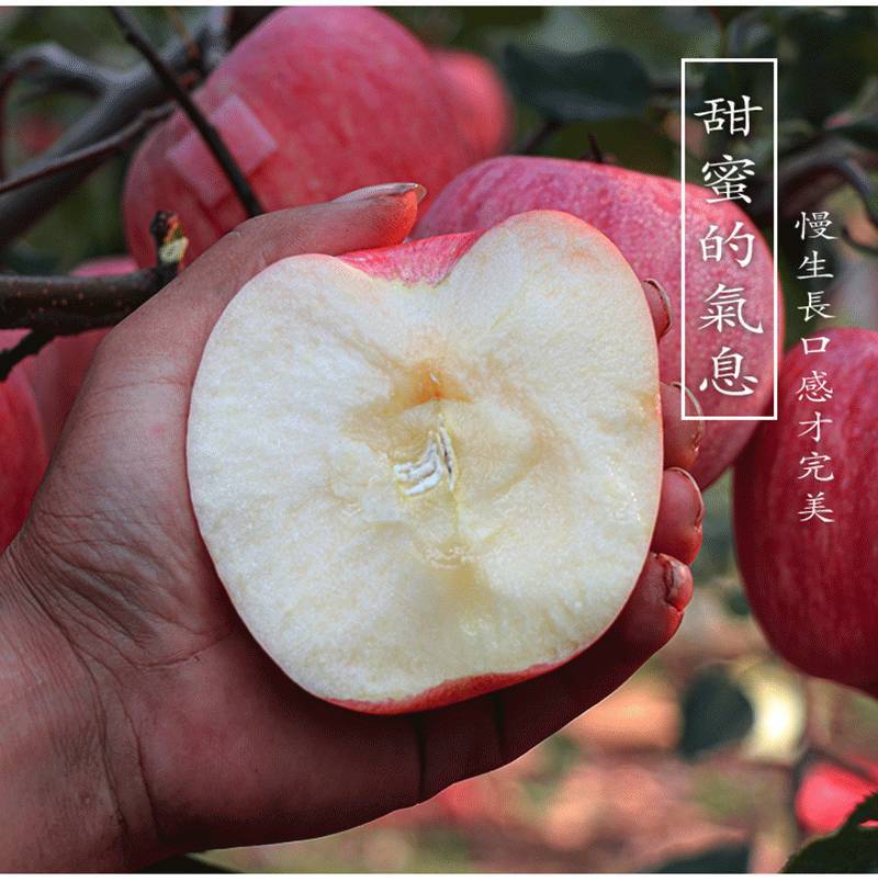 山东烟台红富士苹果生鲜水果新鲜应季脆甜整箱批