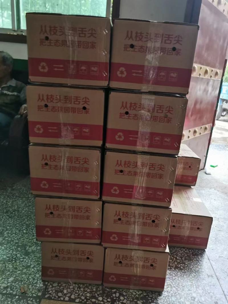 中华蜜桃