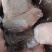 产品名：冻猪前肘规格：10kg（7个）猪源：标猪国产