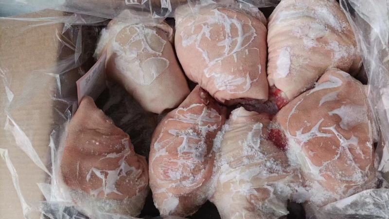 产品名：冻猪前肘规格：10kg（7个）猪源：标猪国产