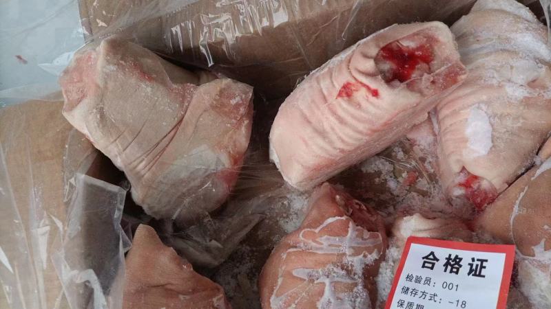 产品名：冻猪前肘规格：10kg（7个）猪源：标猪国产