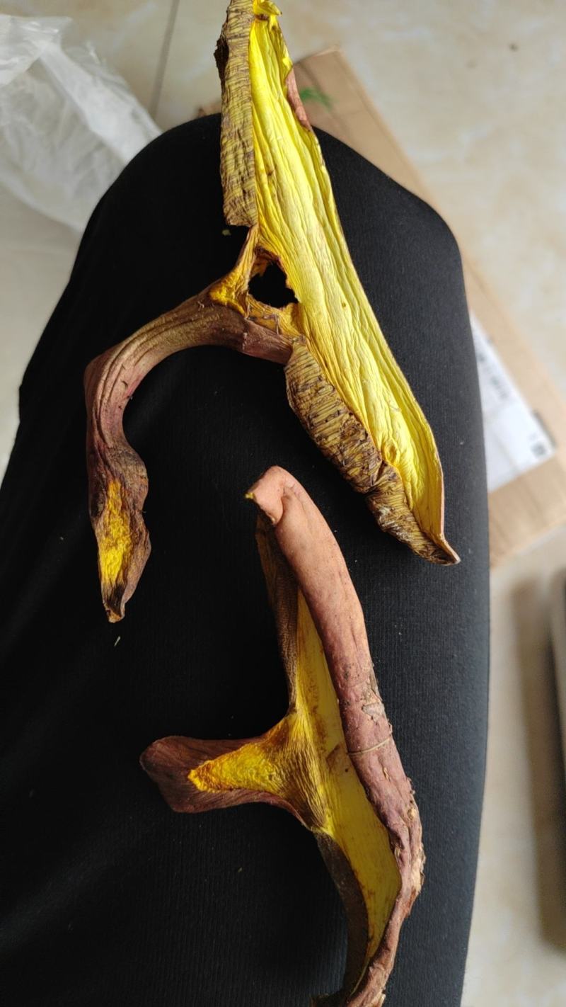 红葱菌，干菌子，1斤包邮