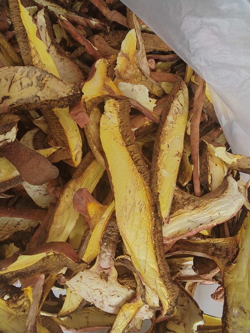红葱菌，干菌子，1斤包邮