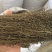 茅膏菜一扫光正品保证质量无理由退货退款干净无杂质
