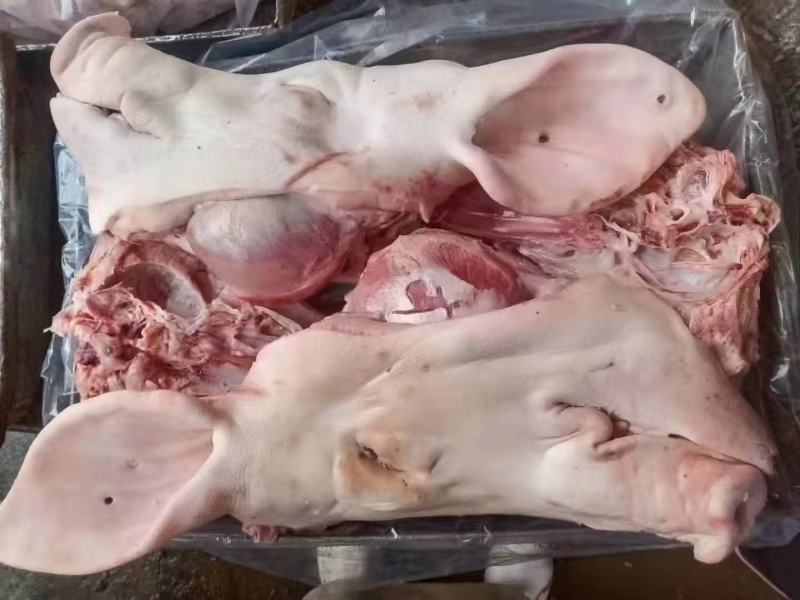母猪头带耳头工厂直销母猪一级带耳头，均重10公斤左右