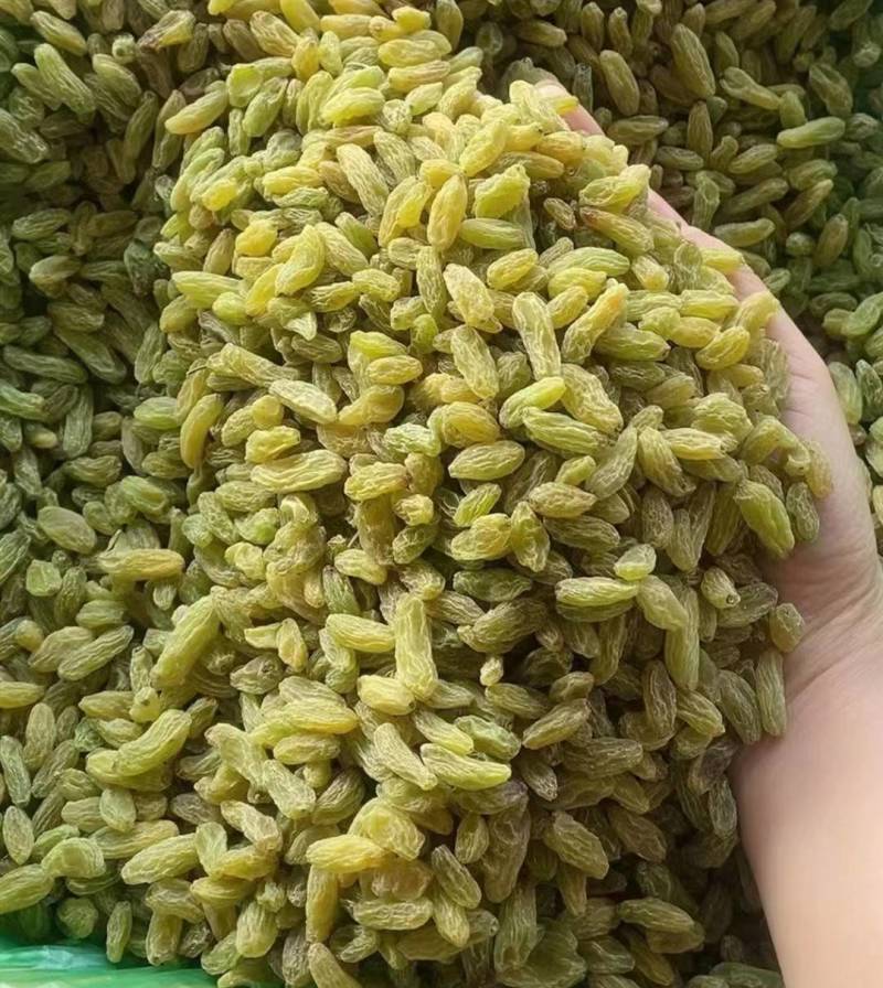 新疆特产吐鲁番葡萄干绿葡萄干小珍珠葡萄干休闲零食葡萄干批