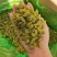 新疆特产吐鲁番葡萄干绿葡萄干小珍珠葡萄干休闲零食葡萄干批