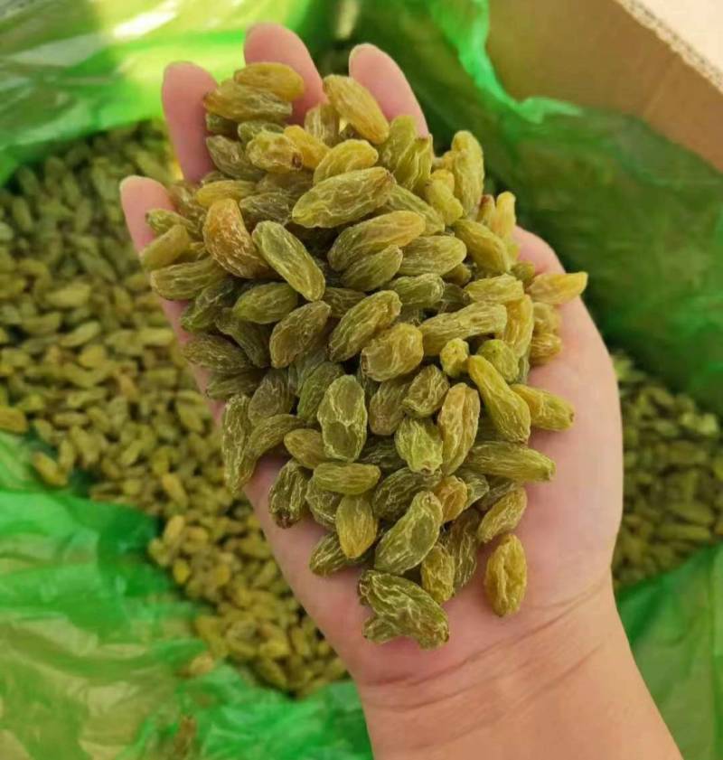 新疆特产吐鲁番葡萄干绿葡萄干小珍珠葡萄干休闲零食葡萄干批
