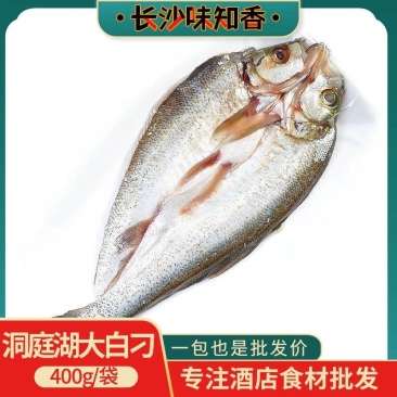 大白叼新鲜刁子鱼小白叼翘嘴鱼酒店菜冷冻湘菜食材私房菜