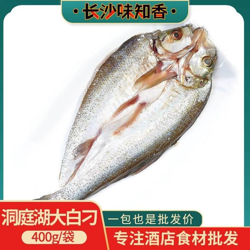 大白叼新鲜刁子鱼小白叼翘嘴鱼酒店菜冷冻湘菜食材私房菜