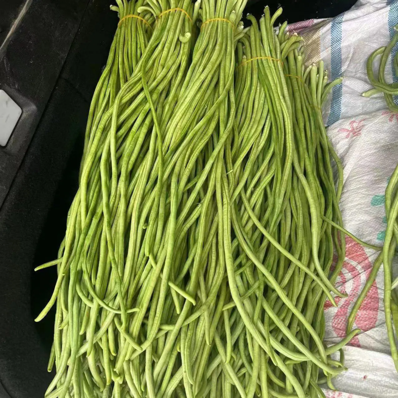 青条豆角/安徽长豆角/豇豆商超社团电商供货代收代发代加工