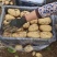 河北精品土豆基地，品种齐全，货源充足，量大从优