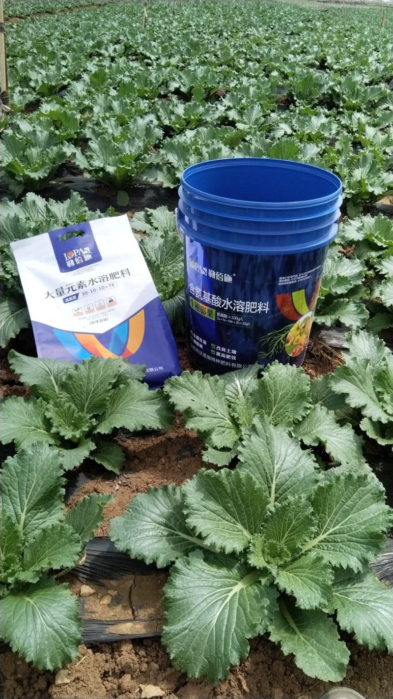 生根膨果含氨基酸水溶肥冲施肥生根壮苗膨果转色欢迎来电