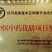 木豆叶大基地云南红河县道地自然晾晒纯叶批零统货月供50吨