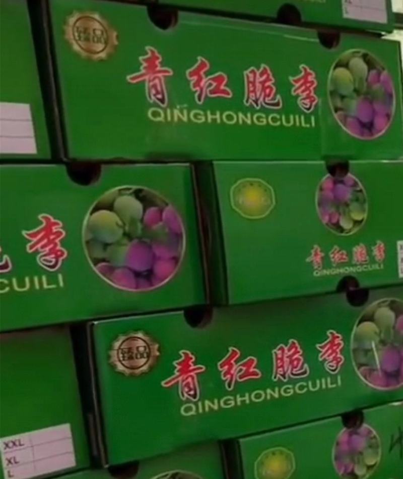 五月脆李子，脱骨李子，个头虽小，但是口感很好，送礼佳品，