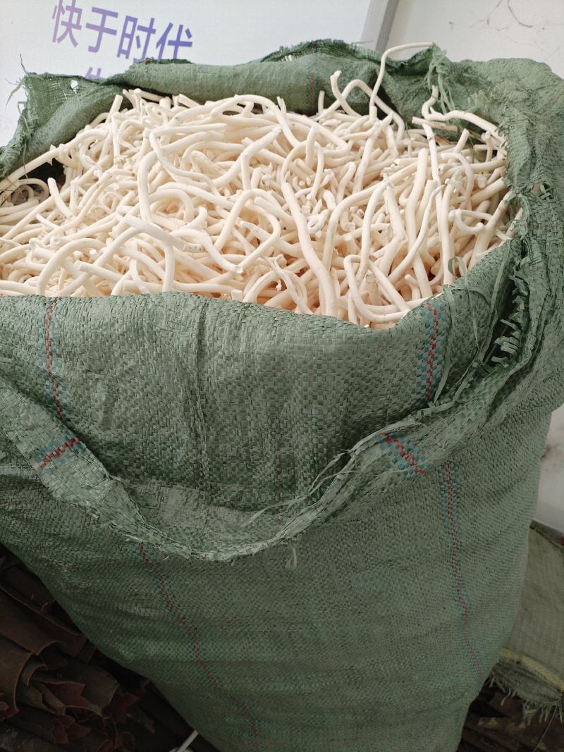 小通草恩施特产鄂西大山深处药材富硒无硫