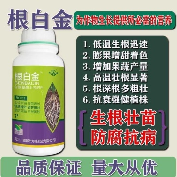 根白金生根剂水溶肥强力生根壮苗剂果树蔬菜水果生根肥冲施肥
