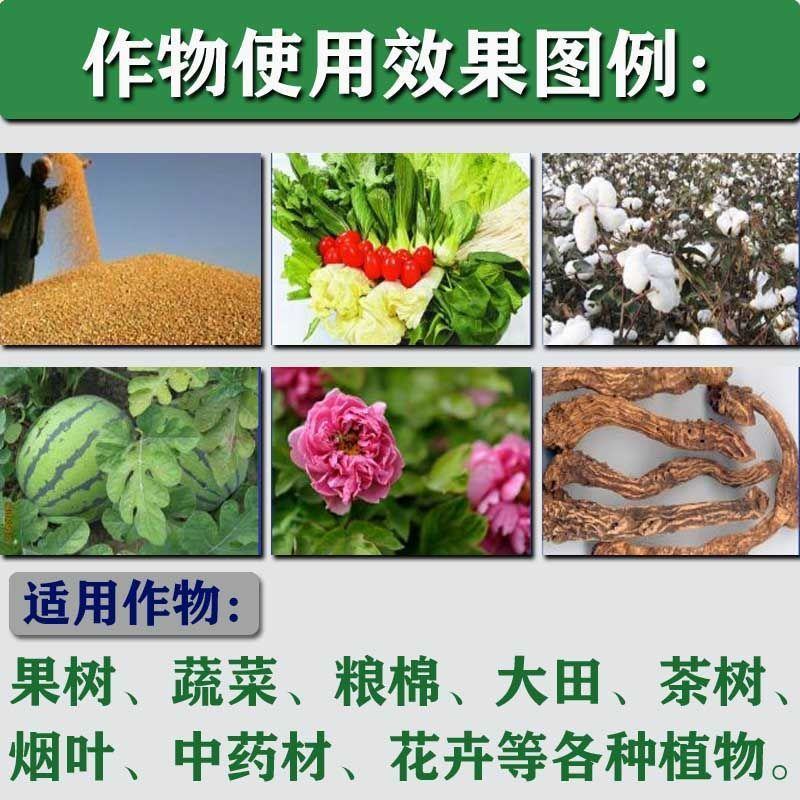 根白金生根剂水溶肥强力生根壮苗剂果树蔬菜水果生根肥冲施肥