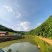 东北野核桃
