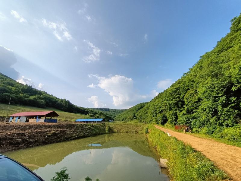 东北野核桃
