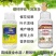 花生窝窝多花生专用叶面肥保花保果扎针多结果多籽粒饱满花生