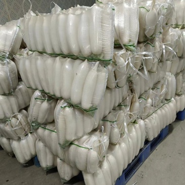 【实】湖北白萝卜精品萝卜量大优惠欢迎来电咨询可视频看货