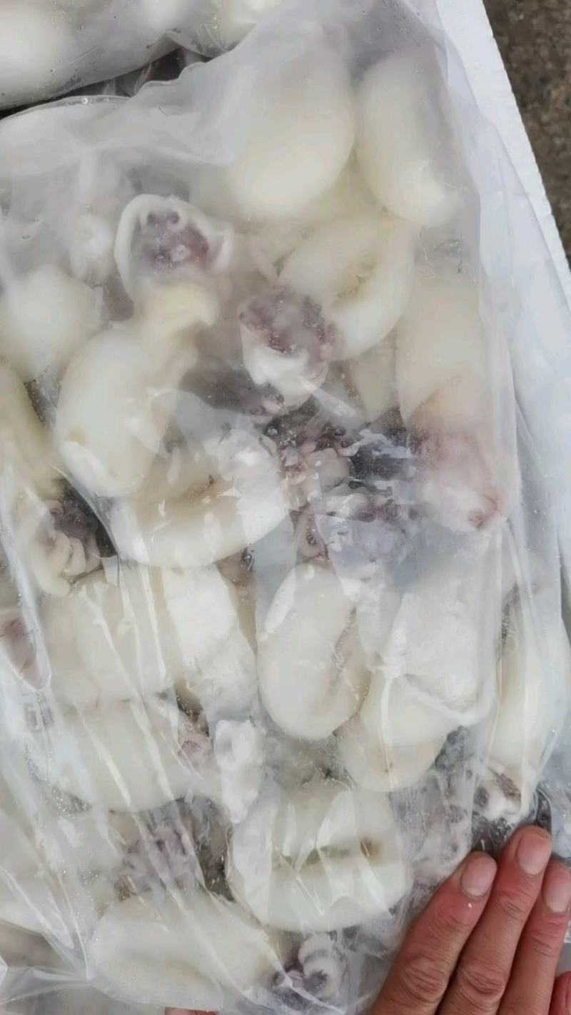 墨鱼仔，涮火锅，捞汁，