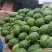 小糖丸西瓜大量上市中口感甜质量好，产地直发保熟保甜
