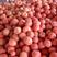 【精选】山东省聊城市西红柿大量供应，果型好、硬度高