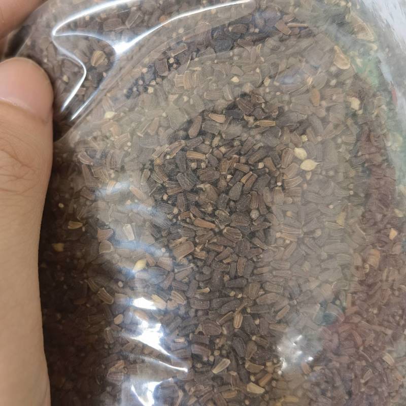 明生种业特选大圆叶茼蒿种子抗病耐寒耐抽苔