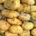 土豆湖北精品中薯5号土豆大量上市产地直供一手货源