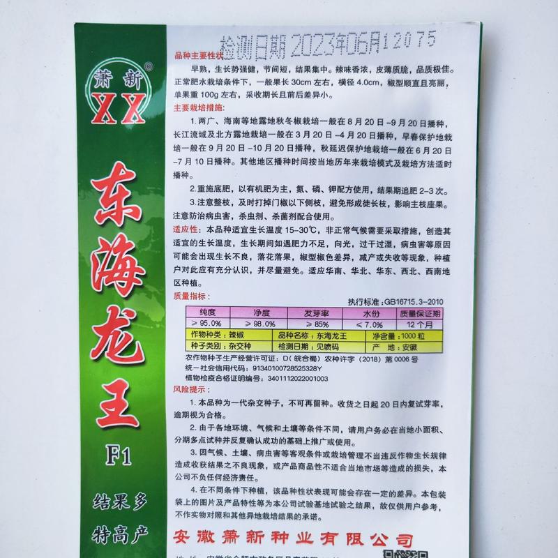萧新东海龙王陇椒品种种子早熟品种口感香辣种子