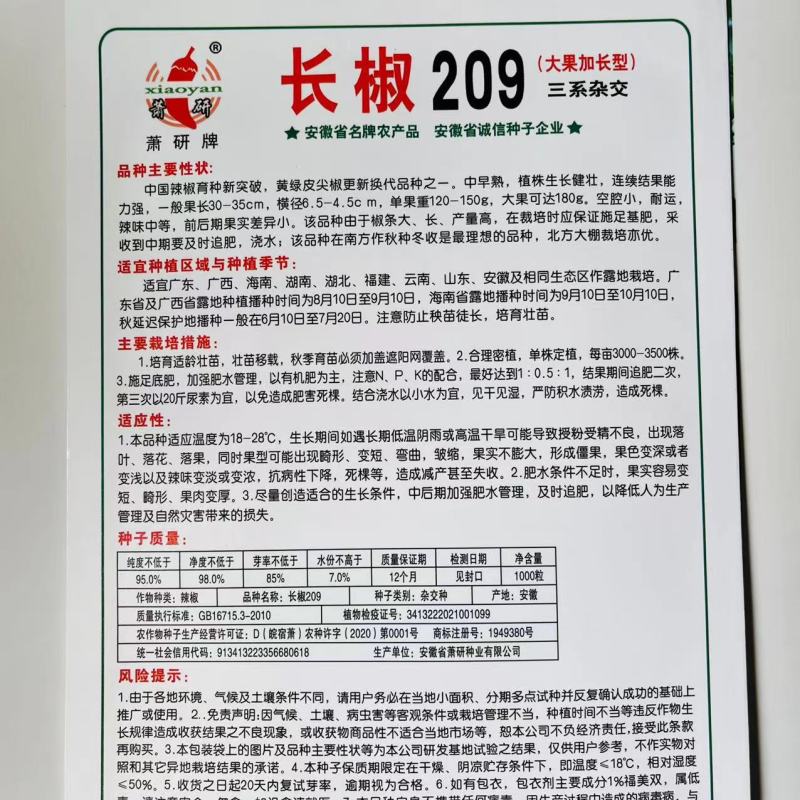 金疏长椒209黄绿皮牛椒角品种，杂交一代