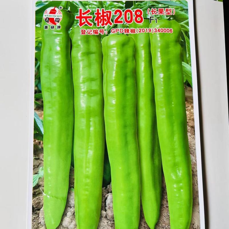 金疏长椒209黄绿皮牛椒角品种，杂交一代