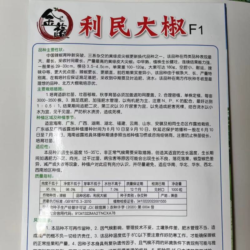 金疏长椒209黄绿皮牛椒角品种，杂交一代