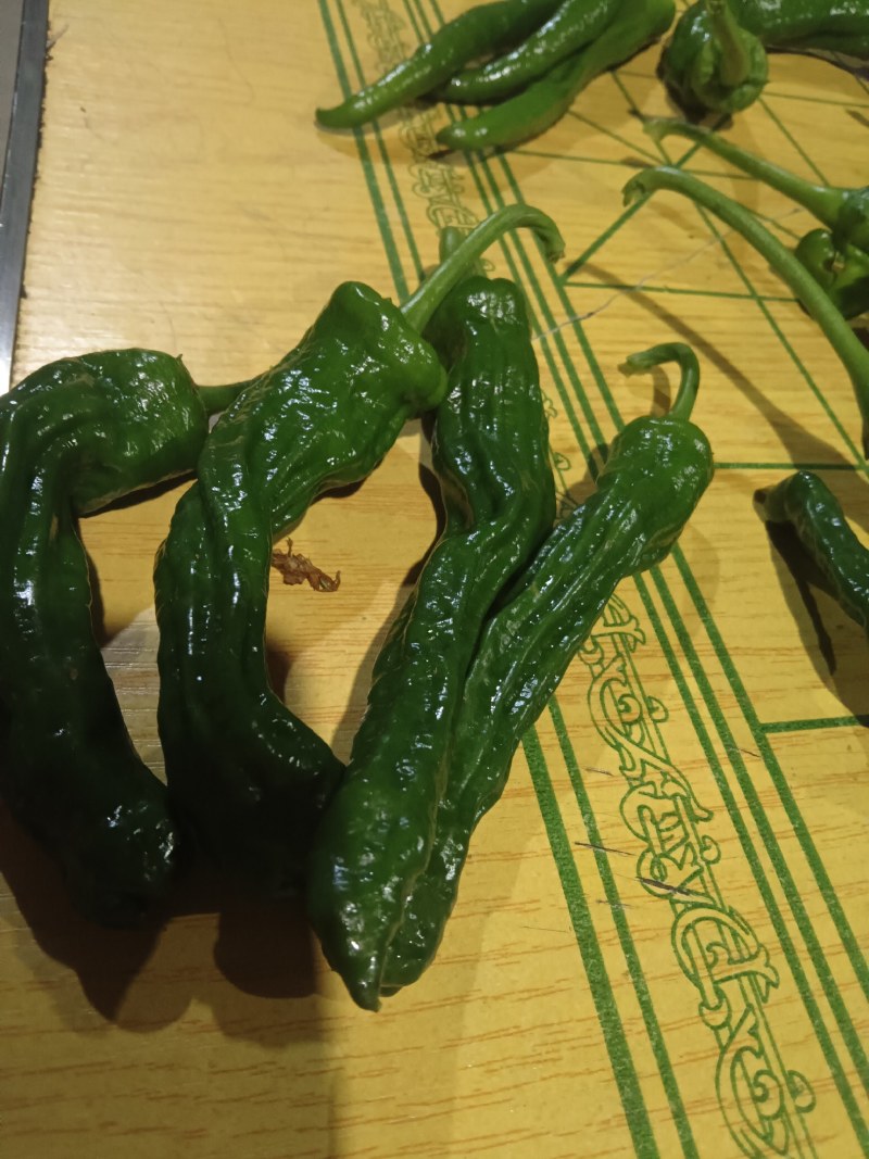 邹皮椒