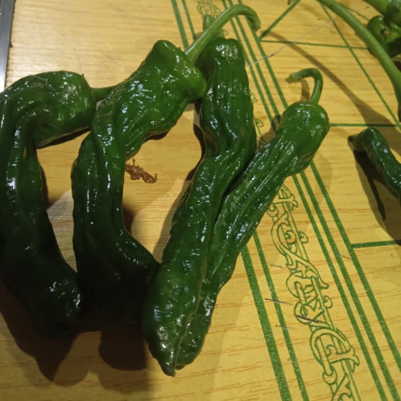 邹皮椒