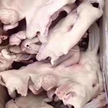 河南郑州中牟县羊头肉产地直销质量量大从优欢迎订购