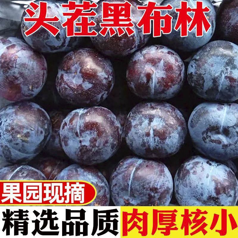 黑布林李子澳洲红肉李青脆李脆红李秋姬李[各种李子]