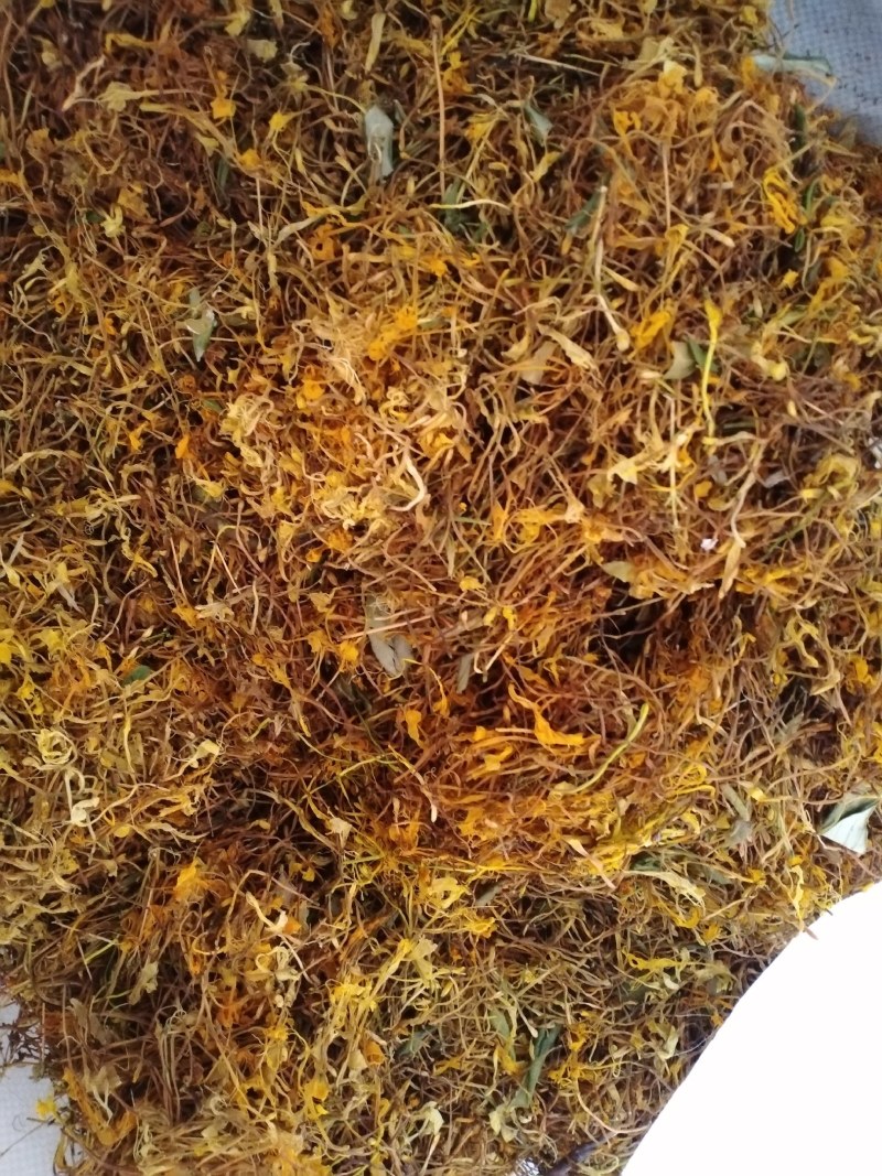野生金银花