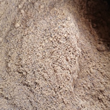 茶籽油