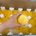 【实力供货】代发精品黄金蜜桃，现货供应中，产地一手货源