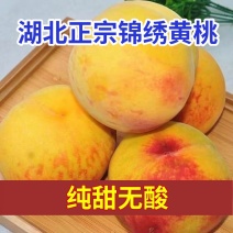 [湖北黄桃]锦绣黄桃精品黄桃大量上市对接各大市场商超电