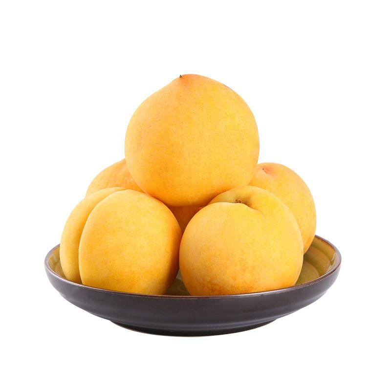 [湖北黄桃]锦绣黄桃精品黄桃大量上市对接各大市场商超电