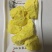 天然火山矿石食用中药材倪海厦张锡纯推荐